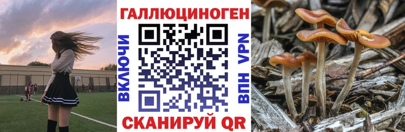 сколько стоит  Неман  Галлюциногенные грибы мицелий 